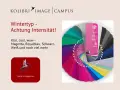 Farbpalette für den Wintertyp mit intensiven Farben wie Magenta und Royalblau. Klare, kühle Töne.