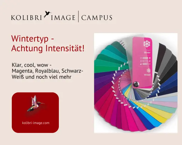Farbpalette für den Wintertyp mit intensiven Farben wie Magenta und Royalblau. Klare, kühle Töne.