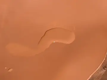 Ein großer, unregelmäßiger Wasserfleck auf einer braunen Oberfläche. Tipps zum wasserflecken entfernen.
